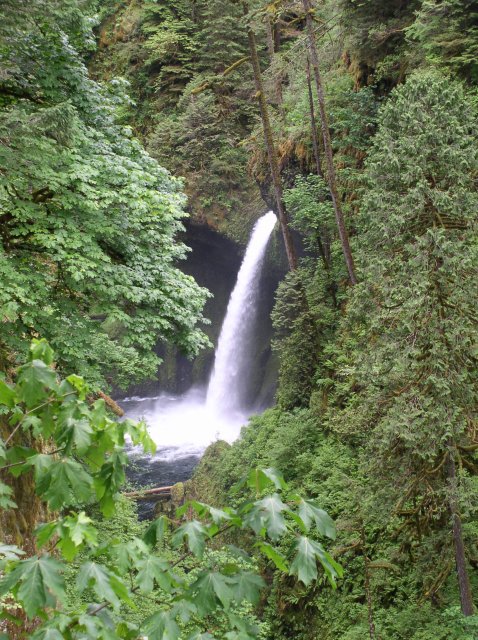 6.03.06 Eagle Creek 011 